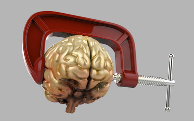 Headache brain in a clamp isolated