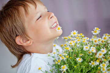 happy little boy with camomile bouquet 
