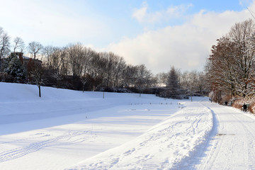 Fototapeta na wymiar Snowy park in winer