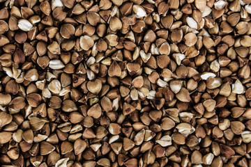 buckwheat texture