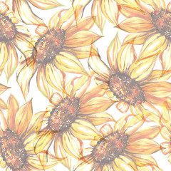 Fototapety  Akwarela żółty kwiat słonecznika bezszwowe tło wzór