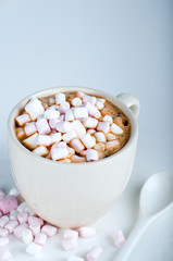 Fototapeta na wymiar cup of hot cocoa with marshmallow 