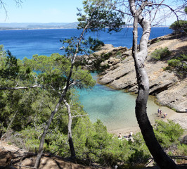 La ciotat, île verte