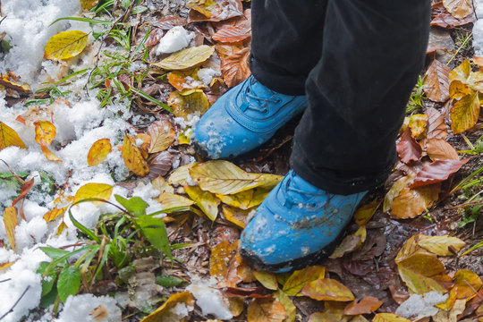 Blue shoes, snow, grass and leaves. Travel