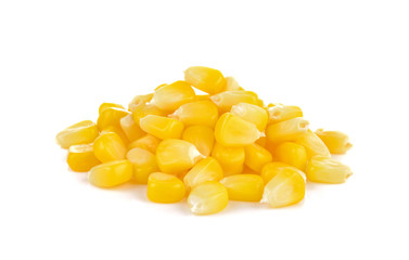  boiled sweet corn on white background