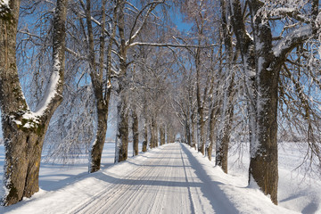 Winter road.