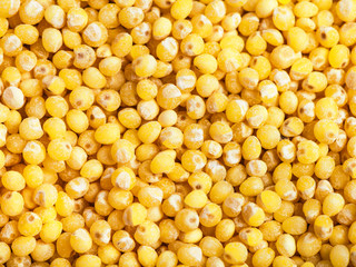raw yellow millet groats close up