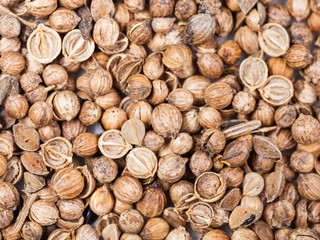 many Dried coriander fruits