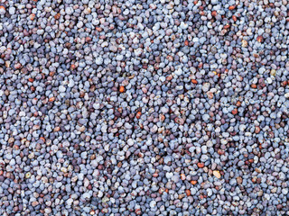 food black poppy seeds