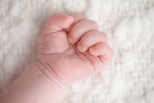 Close-up Shot of a Newborn Baby Boy's Hand