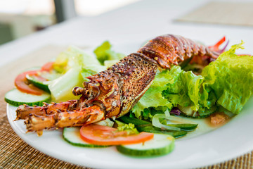 Fresh lobster