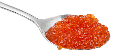 Red caviar of Sockeye salmon fish on spoon