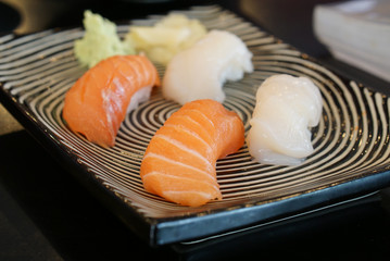 Japanese food - Salmon Sushi and shell sushi