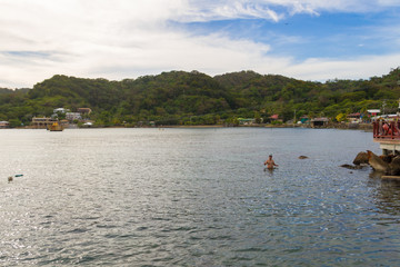 A man snorkeling in roatan, honduras