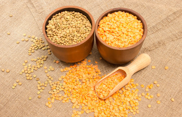 the seeds of red lentils on a canvas