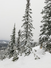 Naklejka premium Ośrodek narciarski pokryte śniegiem