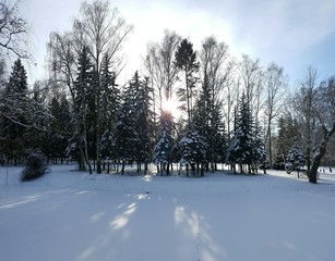 Polana pokryta śniegiem