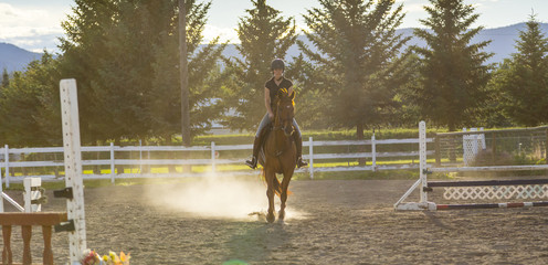 Woman Riding a Horse in Sunny Outdoor Ring © Chris Gardiner
