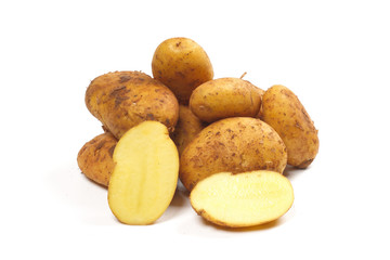 Kartoffeln, Sorte Sieglinde Galatina