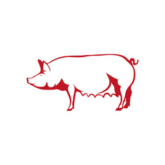 Pig logo.Vector 