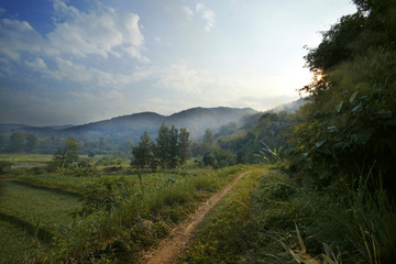 Rural pathway