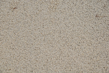 Sand Texture