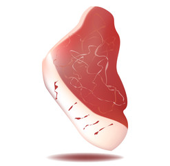 realistic meat of beef on a white background