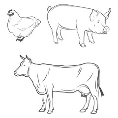 animals logo for a butcher shop. beef, pork, chicken. cow and pig
