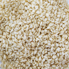 Closeup lots of sesame seeds