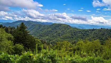 Fototapeta premium Spring Comes To The Smokies. Beautiful sunny spring day at the Newfound Gap Overlook. Great Smoky Mountain National Park. Gatlinburg, Tennessee.