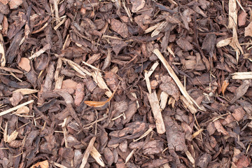 Grober Rindenmulch