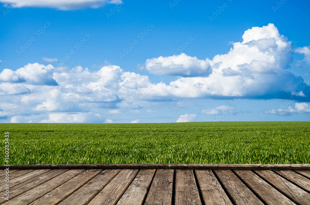 Canvas Prints green fields