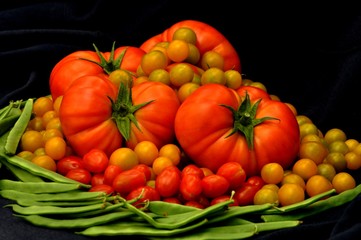 Fototapeta na wymiar Bodegón de tomates rojos, cherrys rojos y amarillos sobre judías verdes