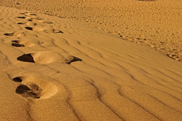 Spurensuche im Sand