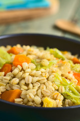 Vegan stew made of wheat grains, savoy cabbage, carrot, pumpkin and onion, photographed with natural light (Selective Focus, Focus one third into the dish)