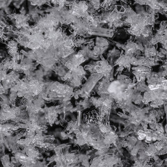 real ice and snowflakes crystals micro photo
