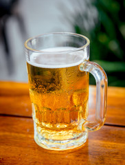 Mug of cold beer