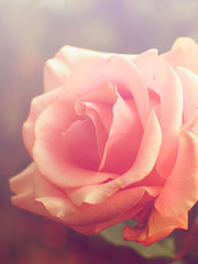 Floral patterns, all kinds of colorful vintage..