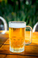 Mug of cold beer