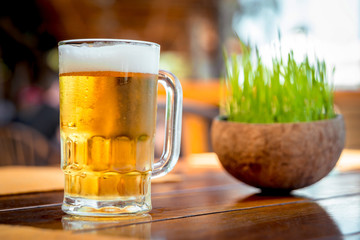 Mug of cold beer