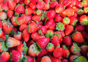 Fresh riped strawberry ,Food farm background