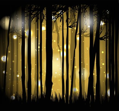illustrazione vettoriale di foresta magica