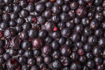 black currant for mulled wine and hot tea