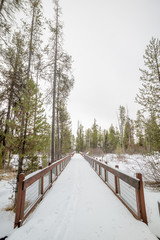 Cross Country ski tracks lead over a wood bridge in winter snow