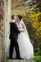 Fototapeta premium Bride and groom kissing and hugging near old building wall close