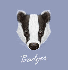 Badger wild animal face. Vector cute European, Eurasian black and white funny badger head portrait. Meles meles. Realistic fur portrait of forest badger on blue background. © ant_art19