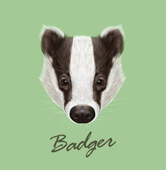 Badger wild animal face. Vector cute European, Eurasian black and white funny badger head portrait. Meles meles. Realistic fur portrait of forest badger on green background. © ant_art19