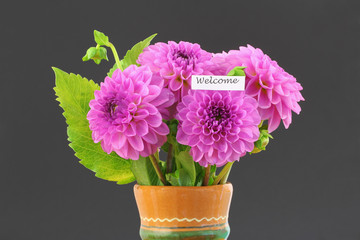 Welcome card with pink dahlia flowers in clay vase on black background
