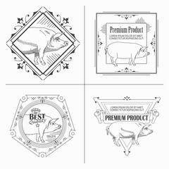 Obraz premium Template with flourishes calligraphic elegant ornament elements.