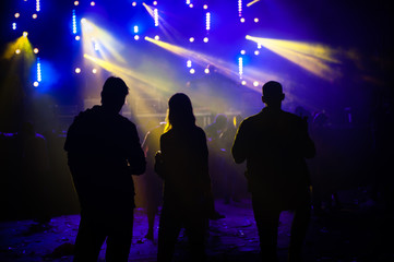 Silhouette of people dancing and talking in a music festival